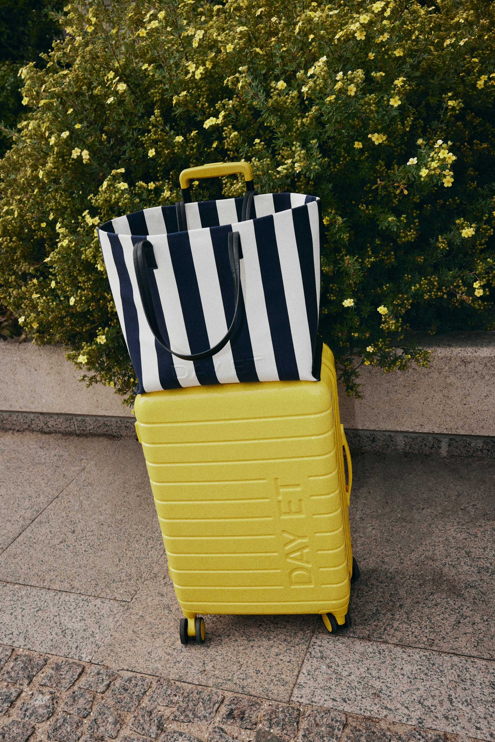 Day Travel Stripe Bag