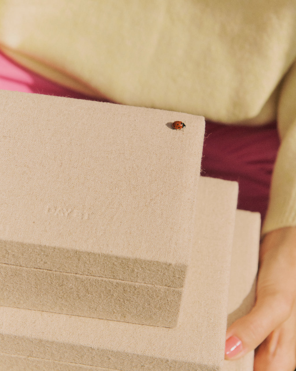 Day Linen Jewelry Case Medium