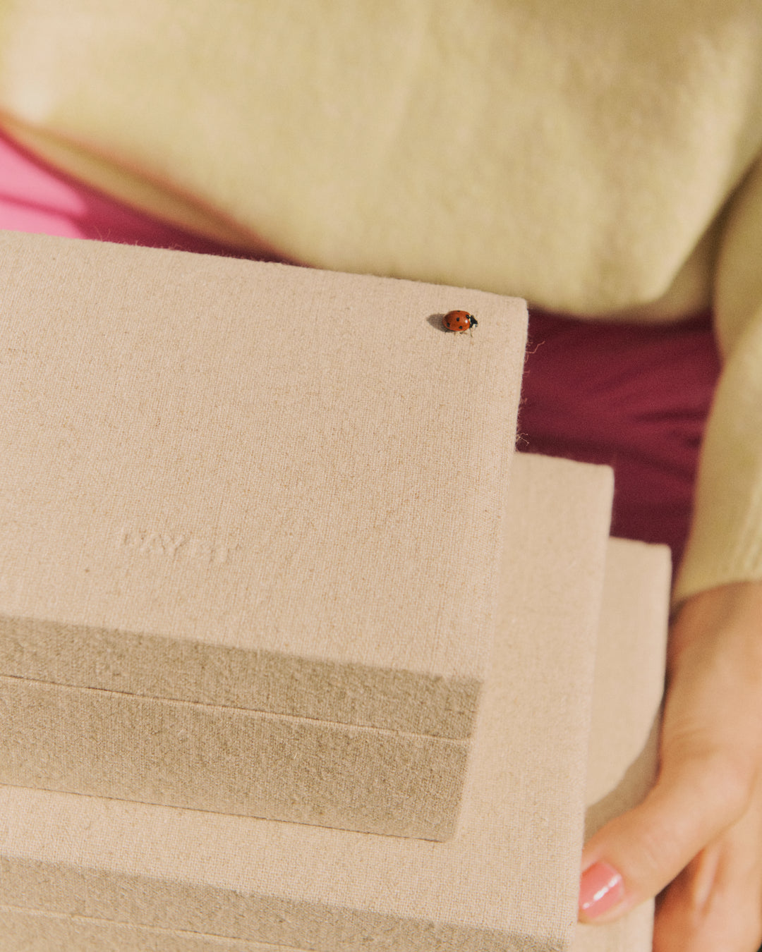 Day Linen Jewelry Case Medium